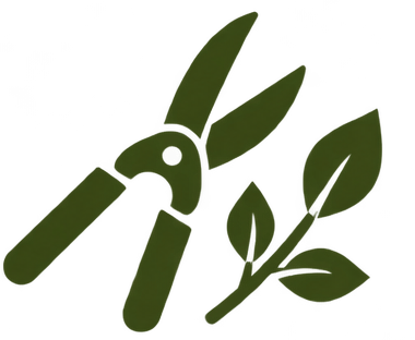 Rückschnitt